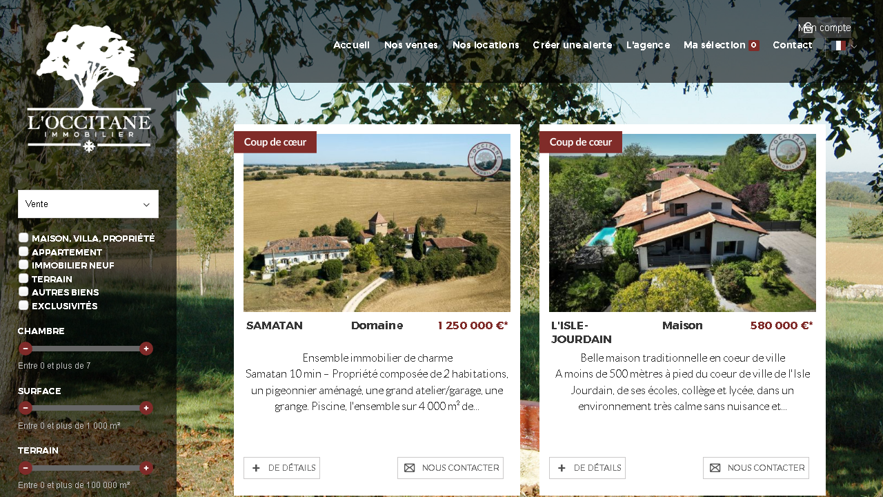 Capture d'écran de http://www.accueilimmobiliergersois.com/ 